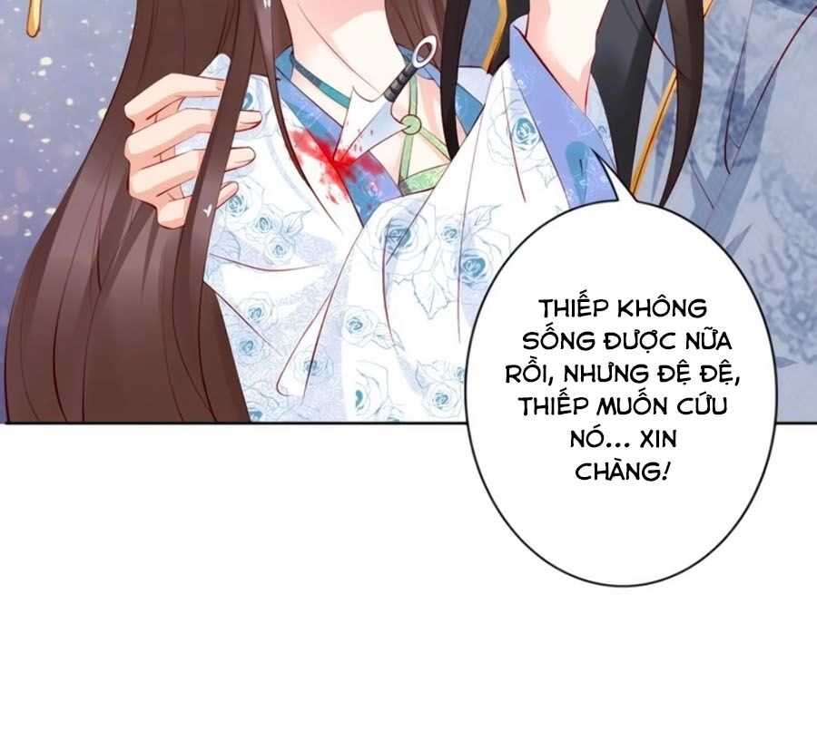 Đế Cung Đông Hoàng Phi Chapter 70 - 10