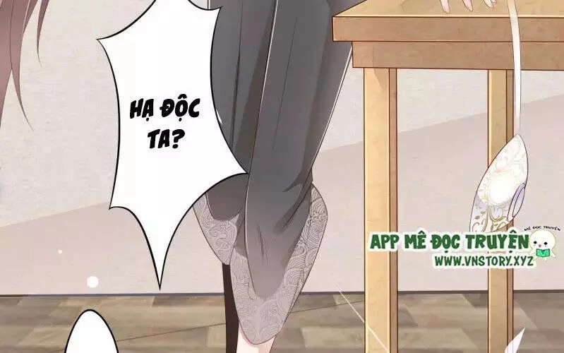 Trọng Sinh Đế Phi: Quyền Khuynh Thiên Hạ Chapter 1 - 6