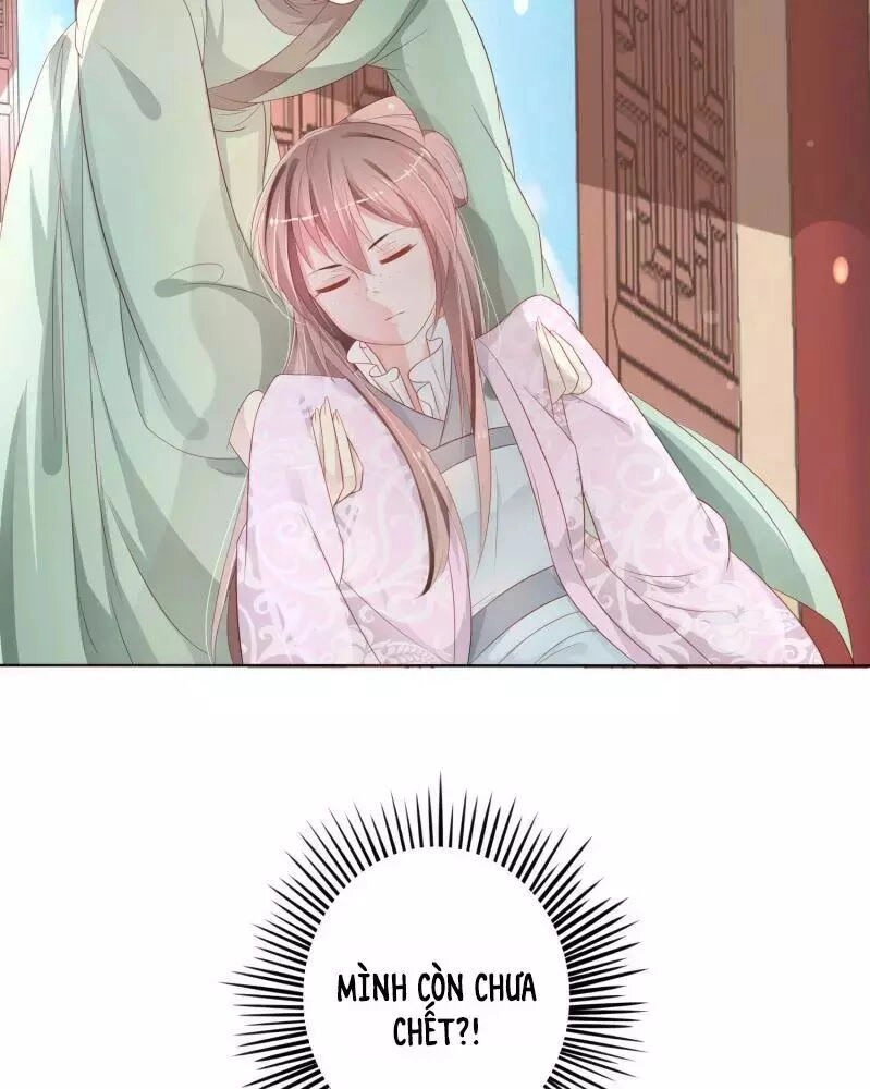 Trọng Sinh Đế Phi: Quyền Khuynh Thiên Hạ Chapter 2 - 15