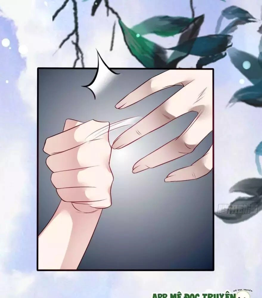 Trọng Sinh Đế Phi: Quyền Khuynh Thiên Hạ Chapter 8 - 27