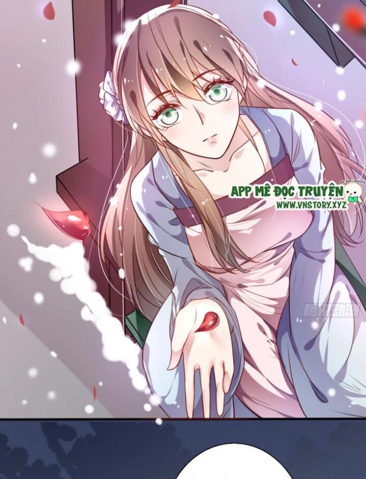 Trọng Sinh Đế Phi: Quyền Khuynh Thiên Hạ Chapter 12 - 5