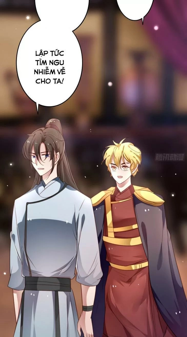 Trọng Sinh Đế Phi: Quyền Khuynh Thiên Hạ Chapter 20 - 11