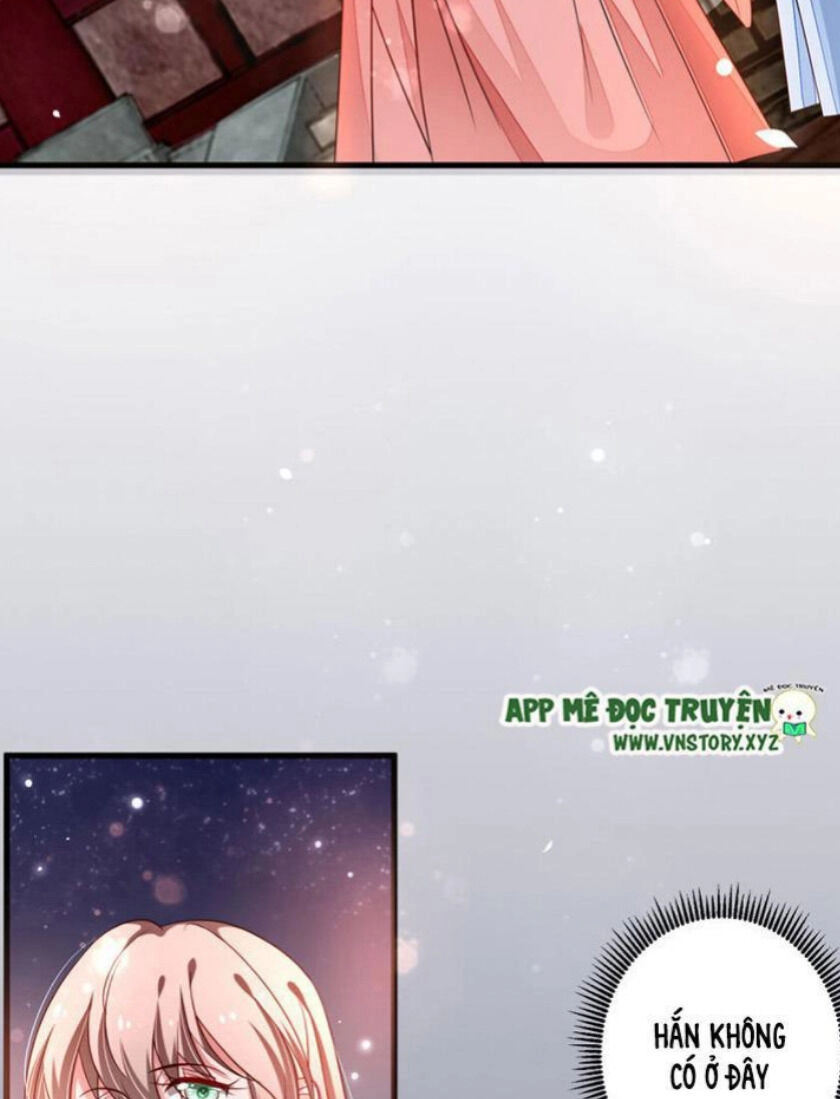 Trọng Sinh Đế Phi: Quyền Khuynh Thiên Hạ Chapter 31 - 19