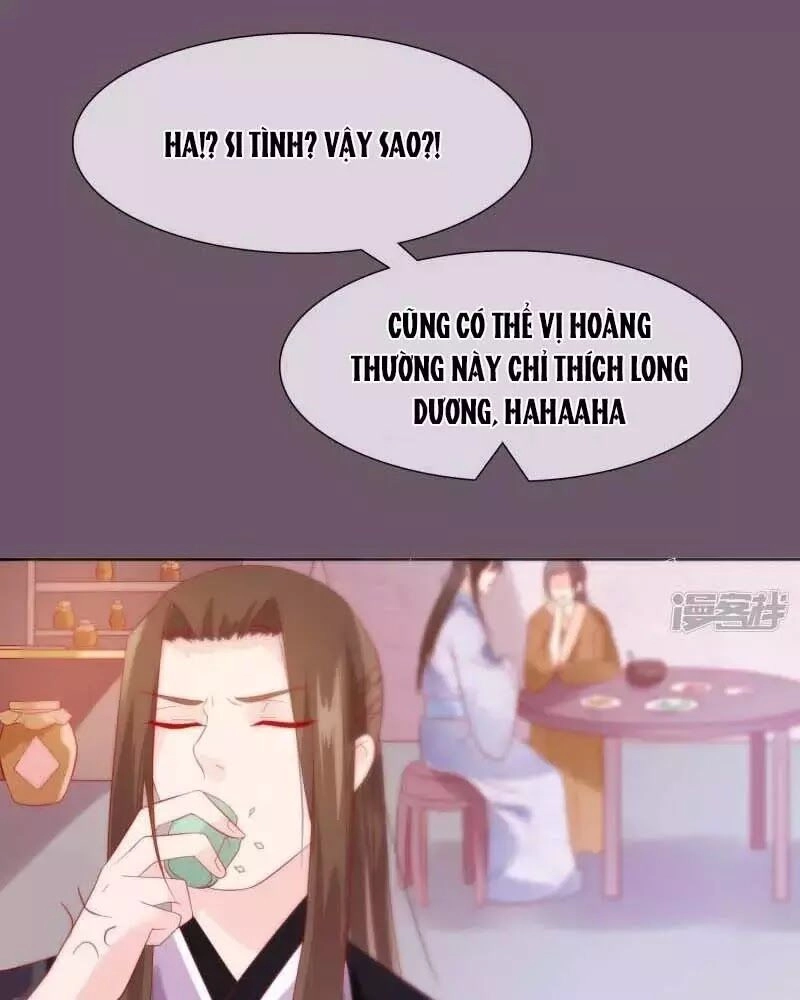 Mười Dặm Hồng Trang, Thay Huynh Xuất Giá Chapter 22 - 28