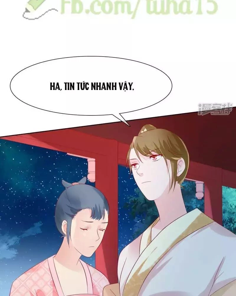 Mười Dặm Hồng Trang, Thay Huynh Xuất Giá Chapter 23 - 45