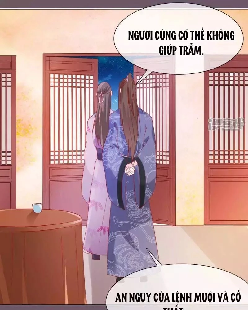 Mười Dặm Hồng Trang, Thay Huynh Xuất Giá Chapter 24 - 24