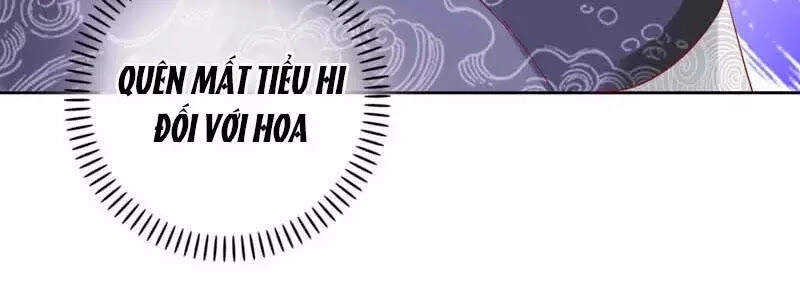 Mười Dặm Hồng Trang, Thay Huynh Xuất Giá Chapter 24 - 30