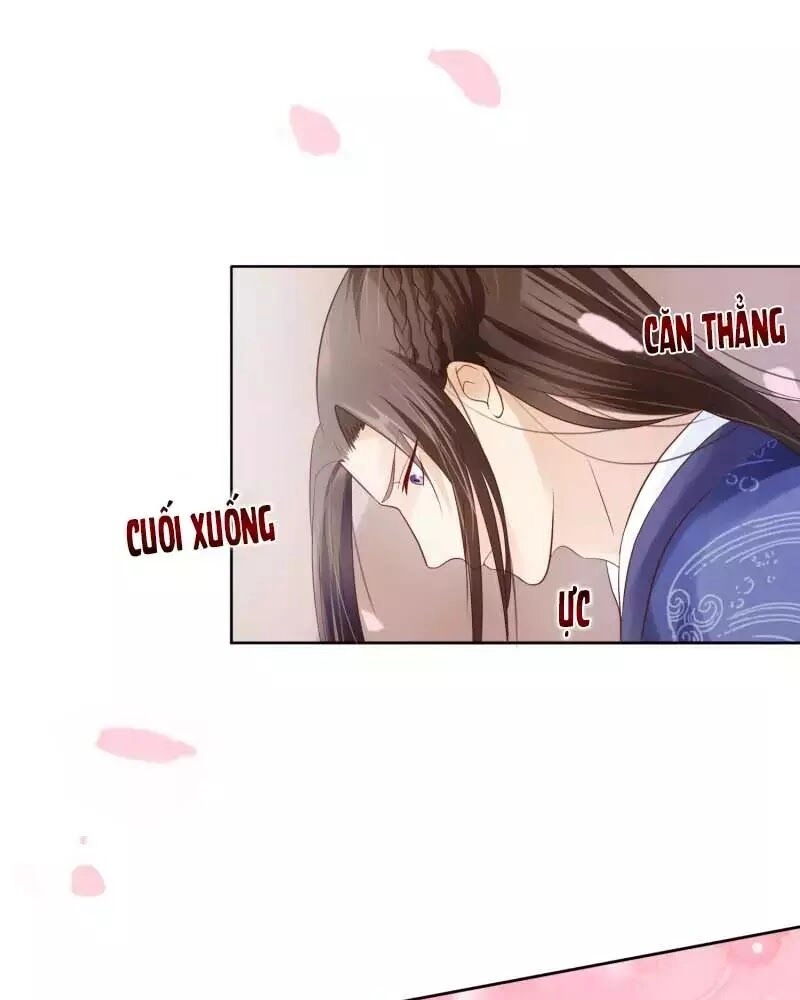 Mười Dặm Hồng Trang, Thay Huynh Xuất Giá Chapter 25 - 9