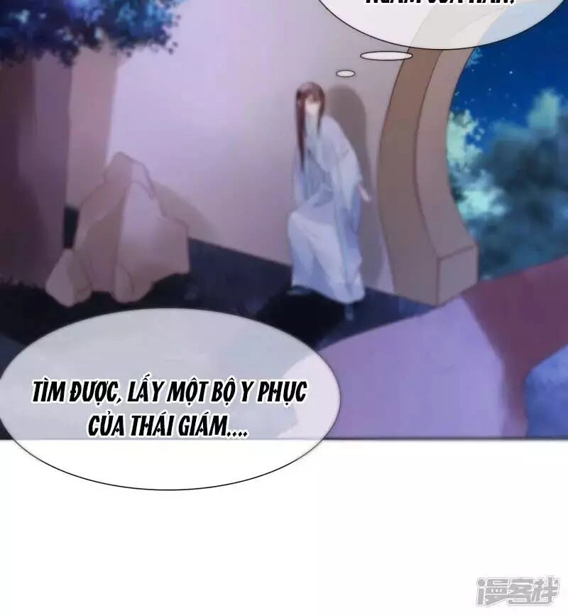 Mười Dặm Hồng Trang, Thay Huynh Xuất Giá Chapter 25 - 39