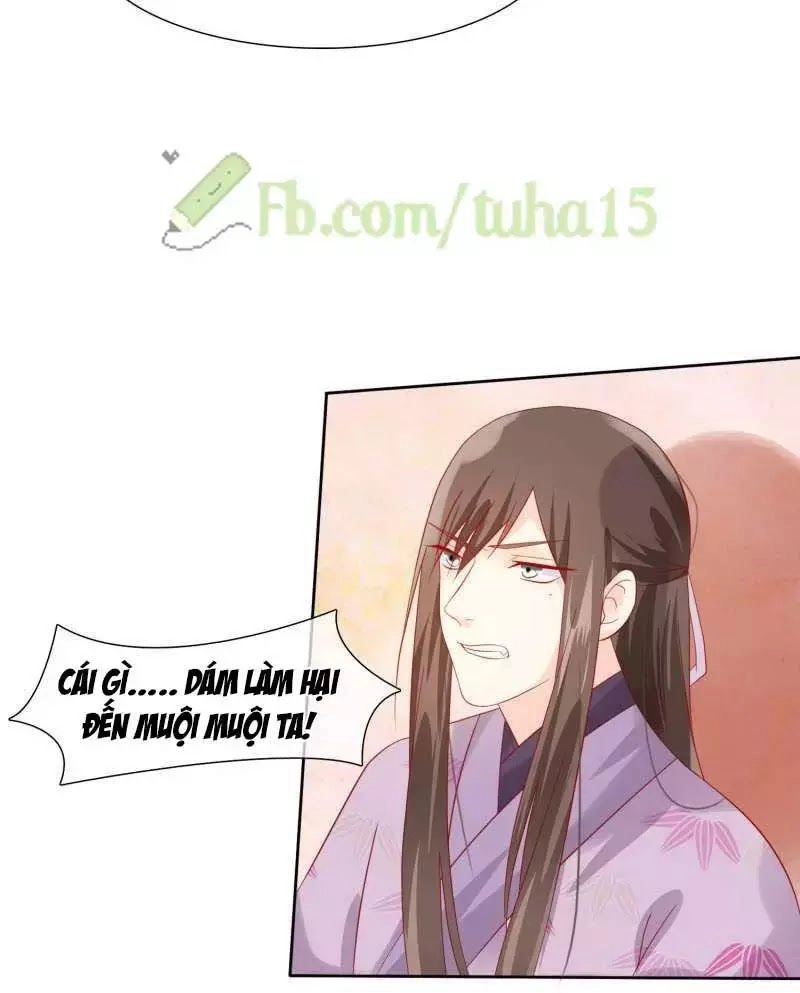 Mười Dặm Hồng Trang, Thay Huynh Xuất Giá Chapter 26 - 43