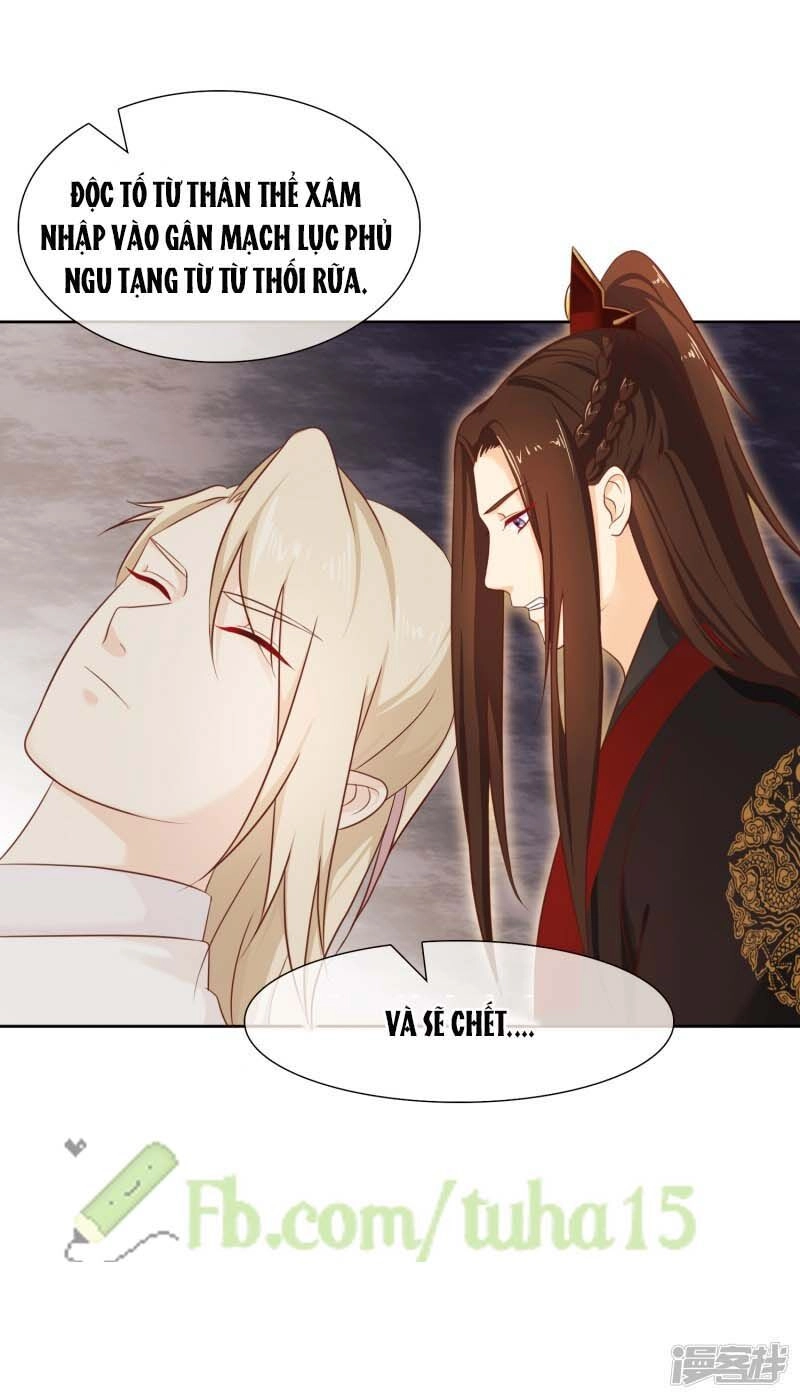 Mười Dặm Hồng Trang, Thay Huynh Xuất Giá Chapter 28 - 5