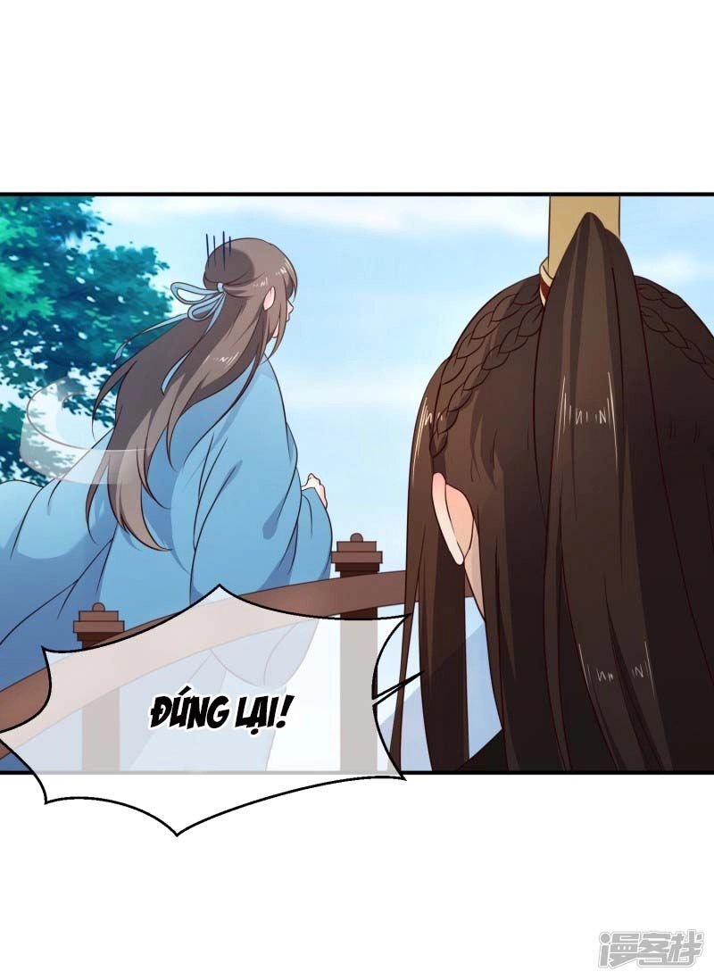 Mười Dặm Hồng Trang, Thay Huynh Xuất Giá Chapter 41 - 7