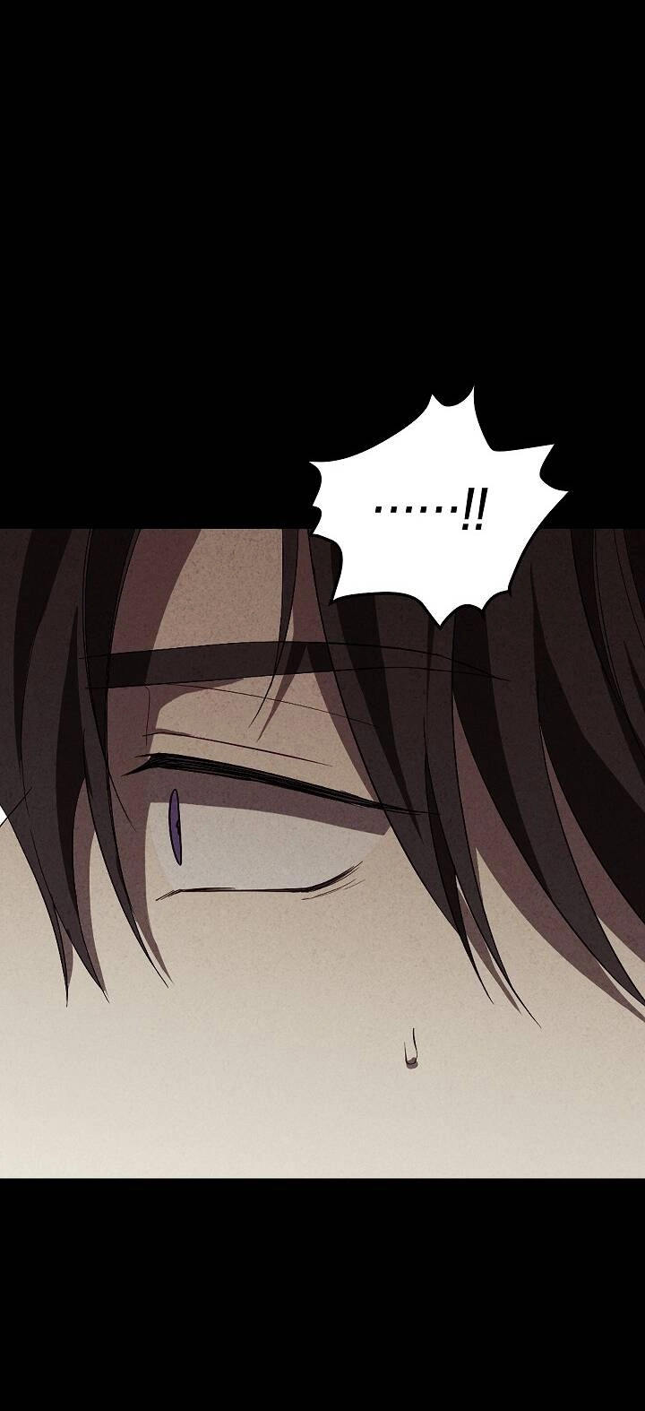 Thực Ra Tôi Mới Là Thật Chapter 117.1 - 36