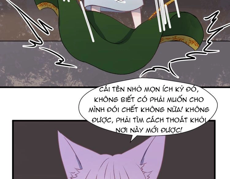 Lượm Được Một Tiểu Hồ Ly 3 Chapter 13 - 5