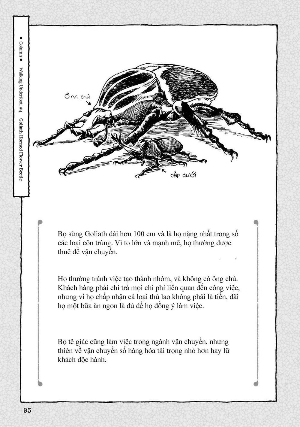 Hai Cô Gái Ở Trong Rừng Chapter 4 - 23