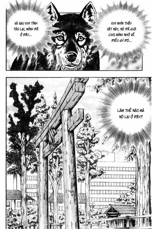 Inugami Chapter 9 - 12