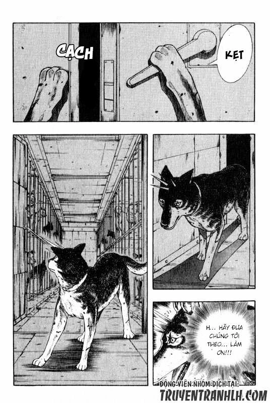 Inugami Chapter 13 - 5