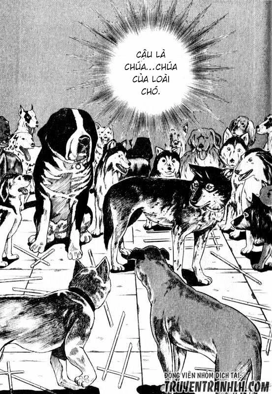 Inugami Chapter 13 - 8