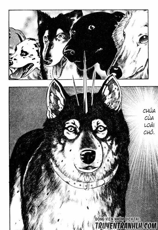 Inugami Chapter 13 - 9