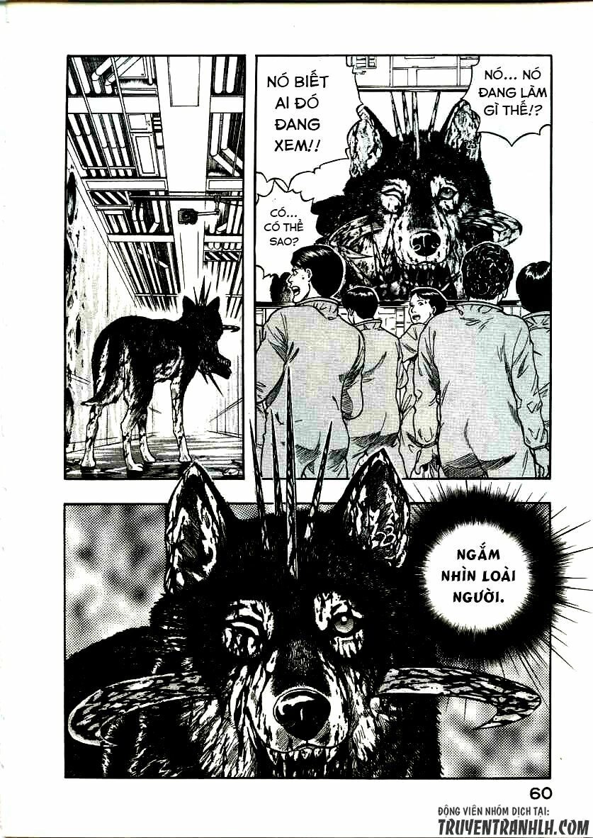 Inugami Chapter 16 - 21