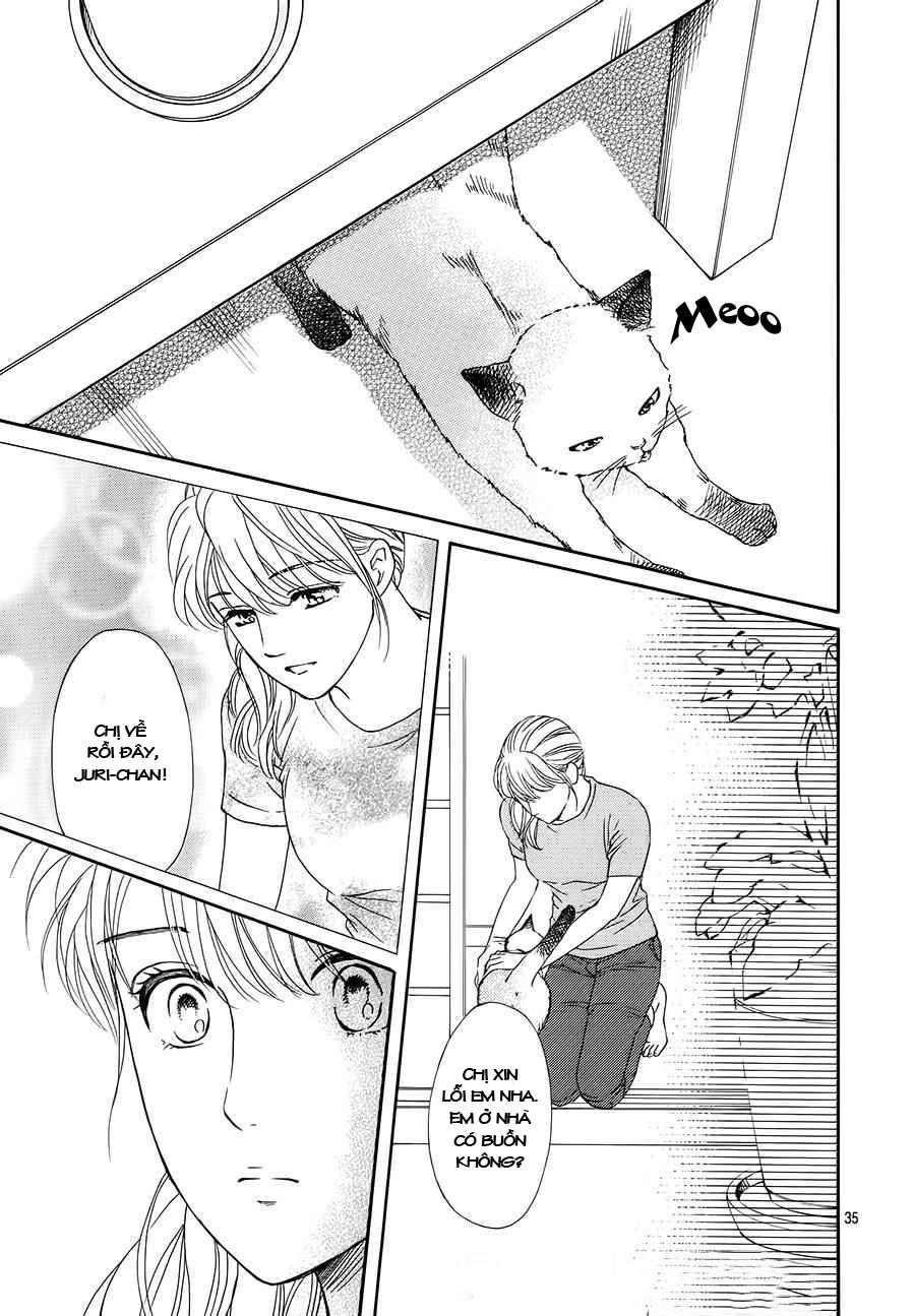 Sumika Sumire Chapter 34 - 36