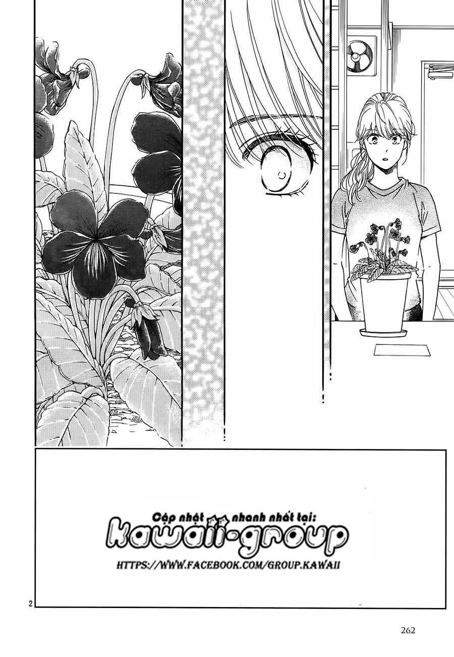 Sumika Sumire Chapter 35 - 3