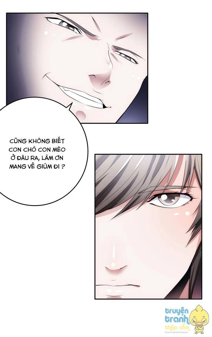 Âm Mưu Bên Gối Chapter 2 - 35