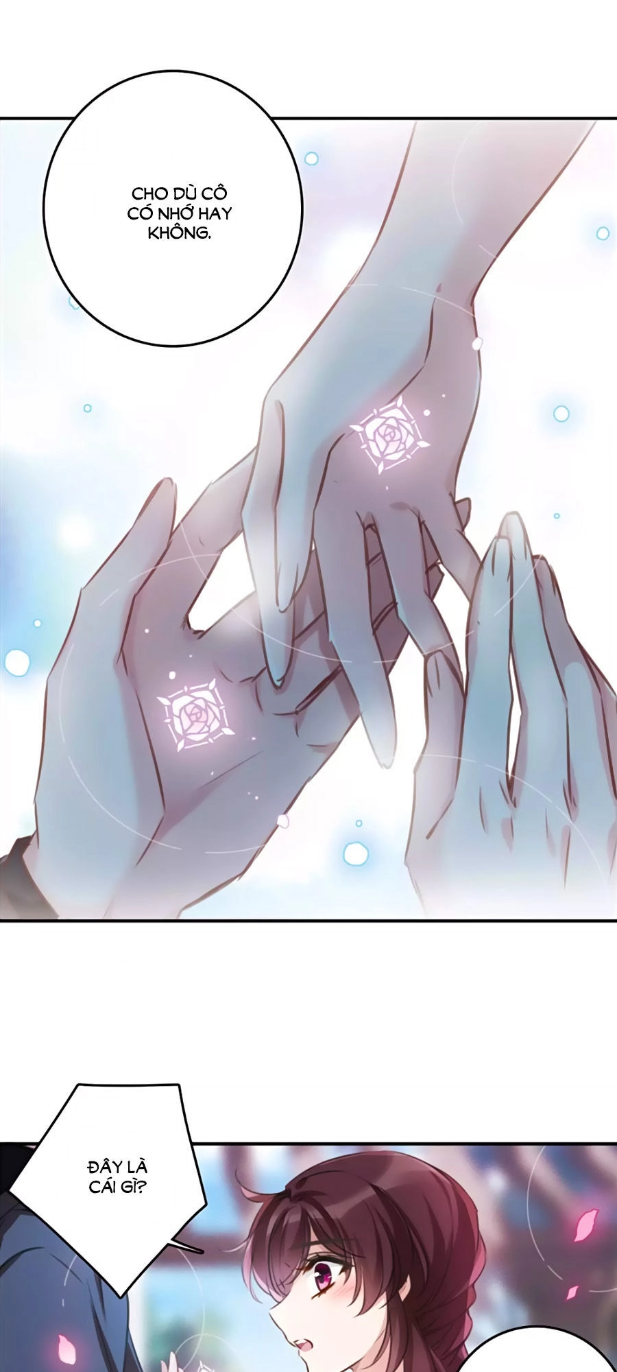 Cuốn Sách Vận Mệnh Của Tôi Chapter 36 - 8