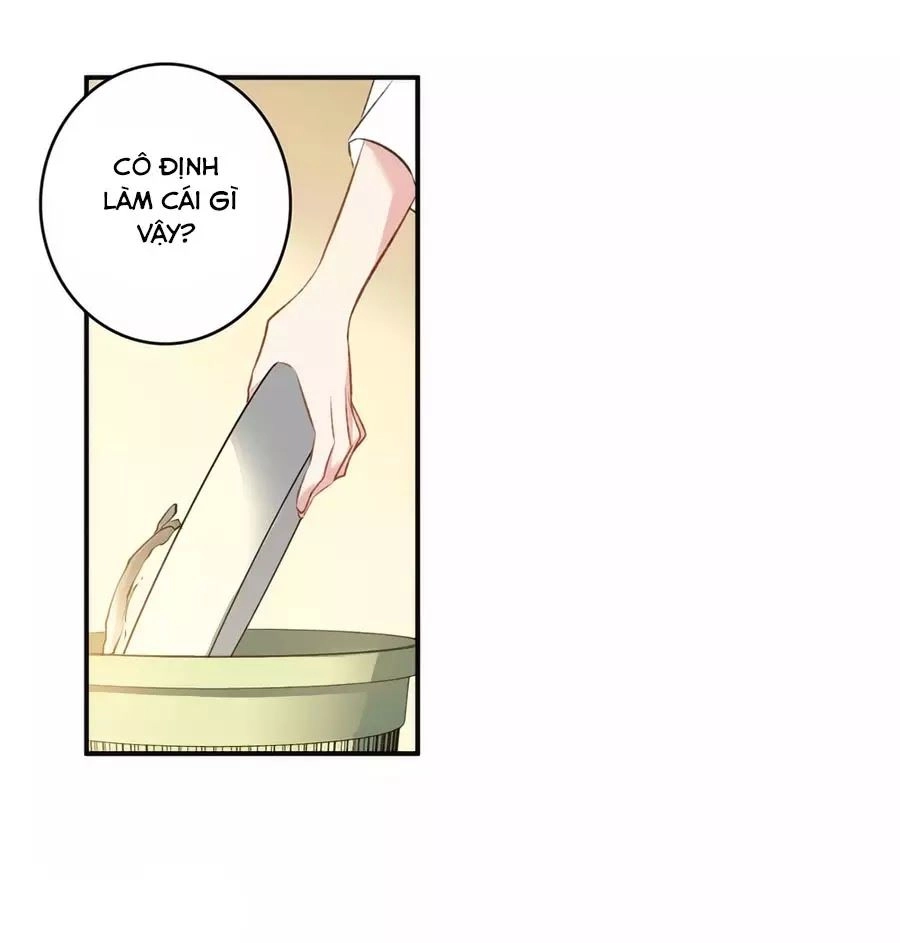 Cuốn Sách Vận Mệnh Của Tôi Chapter 57 - 1