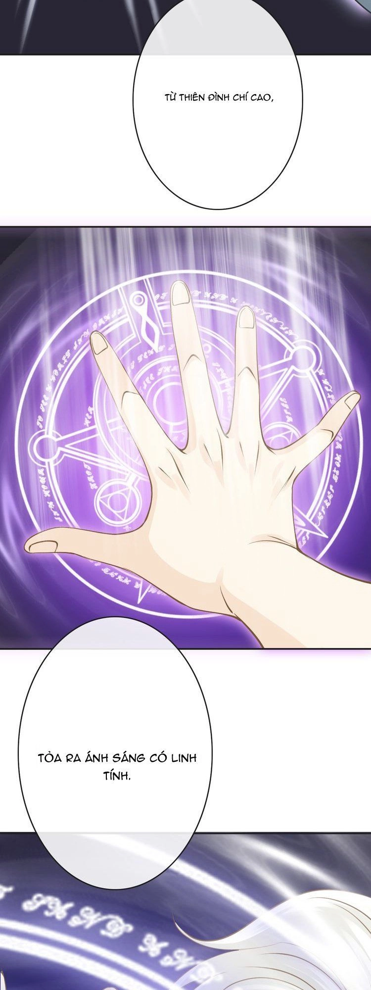 Thiên Thần Không Có Tiết Tháo Chapter 8 - 50