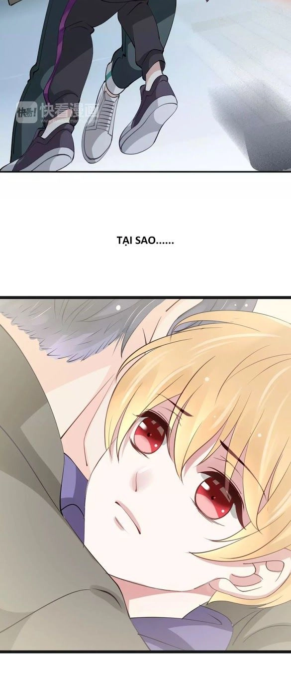 Thiên Thần Không Có Tiết Tháo Chapter 20 - 30