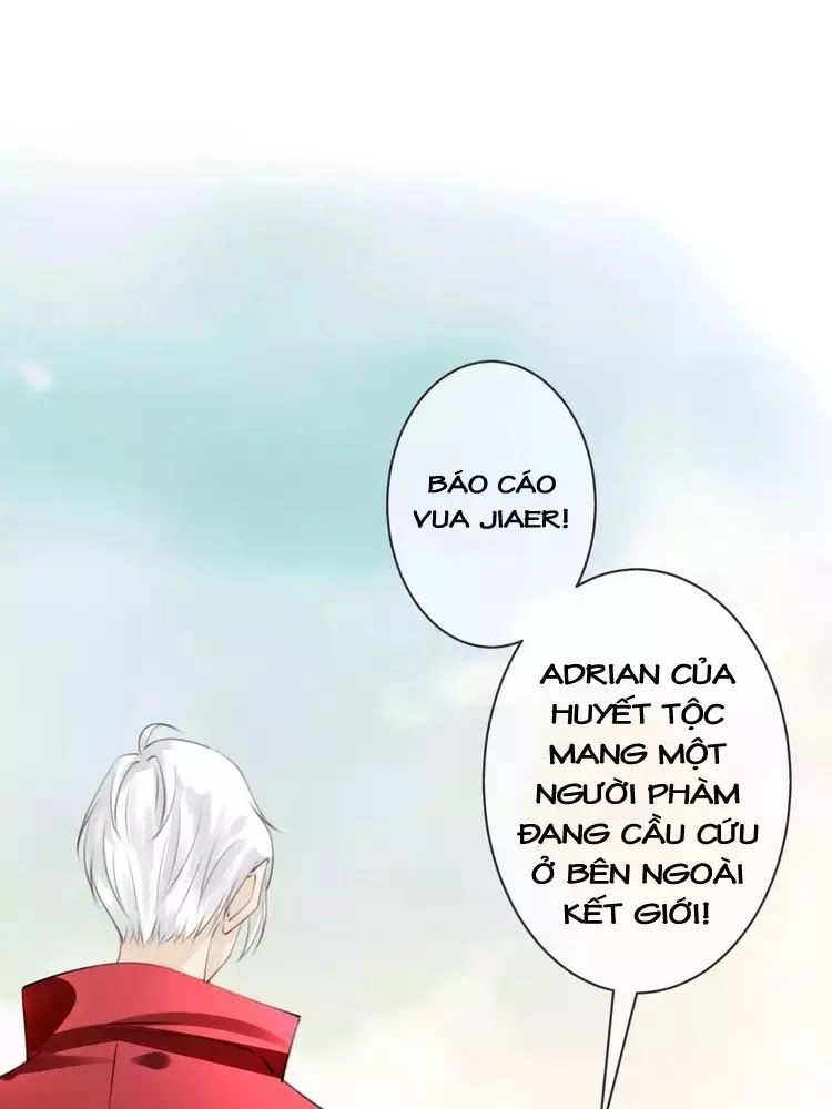 Thiên Thần Không Có Tiết Tháo Chapter 50 - 50