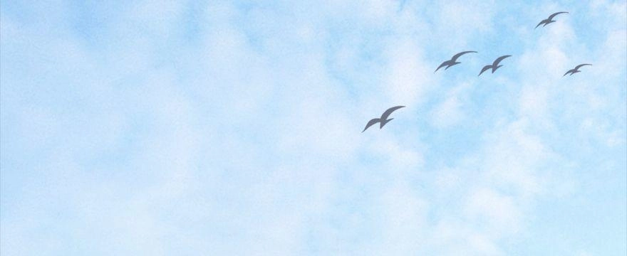 Cửu Hoang Đọa Huyền Sư Chapter 5 - 2