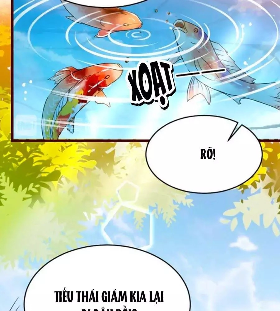 Thái Tử Điện Hạ, Nô Tài Có Hỉ Rồi Chapter 17 - 5