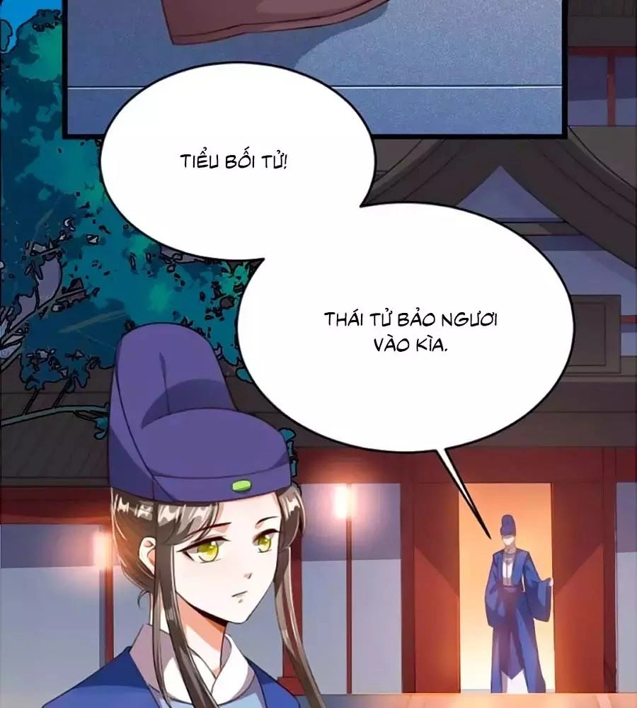 Thái Tử Điện Hạ, Nô Tài Có Hỉ Rồi Chapter 20 - 31