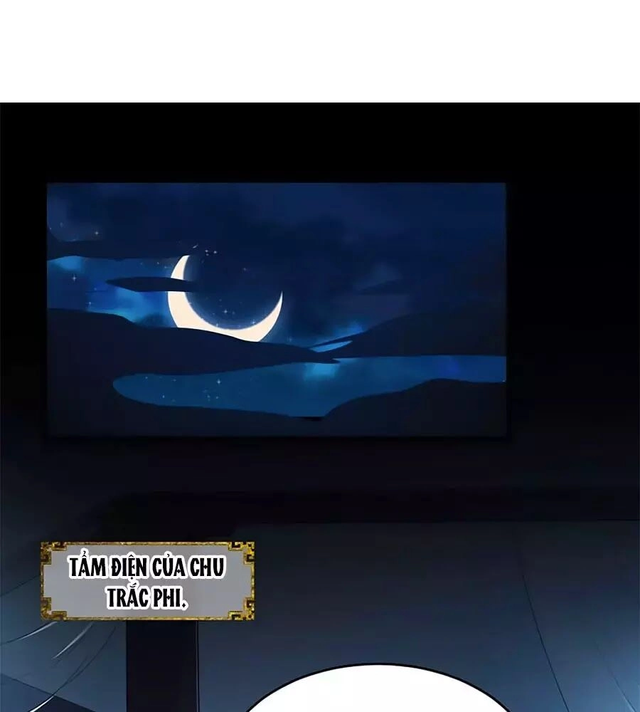 Thái Tử Điện Hạ, Nô Tài Có Hỉ Rồi Chapter 24 - 14