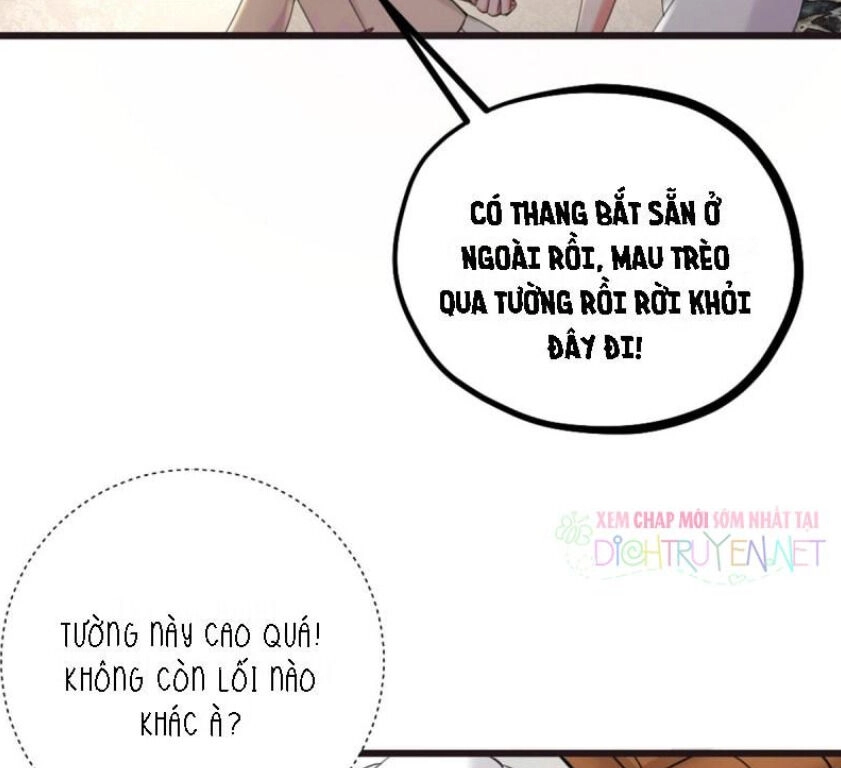 Phu Phu Khuynh Thành Chapter 17 - 44