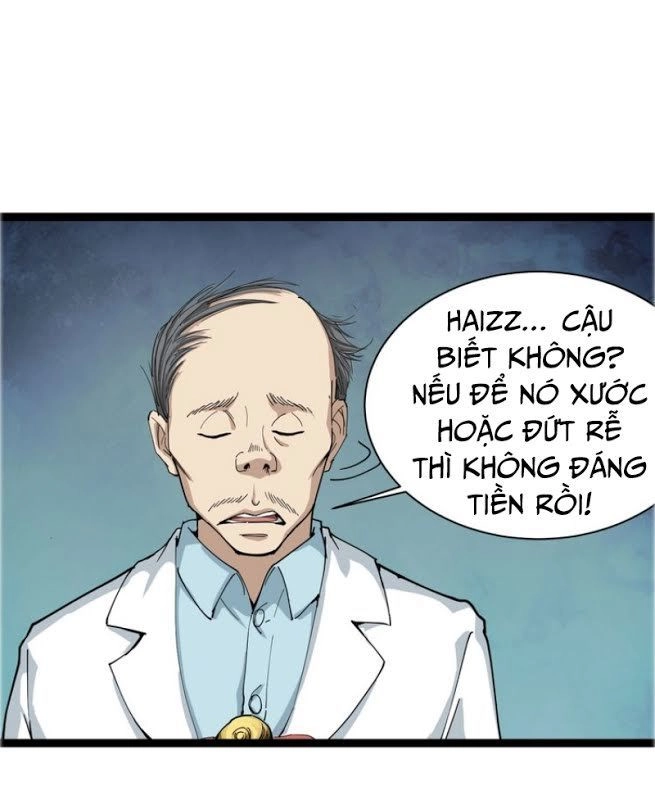 Hồi Xuân Tiểu Độc Y Chapter 6 - 23
