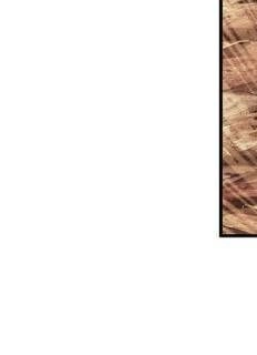 Siêu Phàm Truyện Chapter 215 - 86