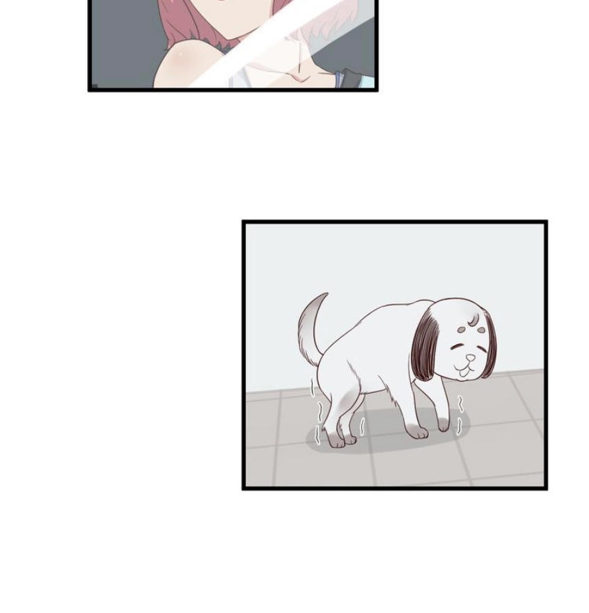 Hệ Thống Tu Tiên Mạnh Nhất Chapter 8 - 33