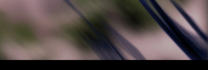 Black Haze Chapter 155 - 19