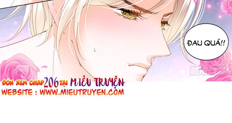 Lóe Thiểm Hôn Kiều Thê Mơ Tưởng Trốn Chapter 205 - 15