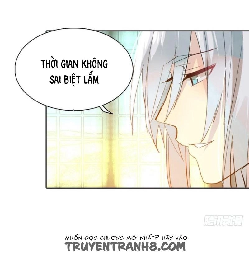 Sư Phụ Lại Trêu Chọc Ta Chapter 1 - 26