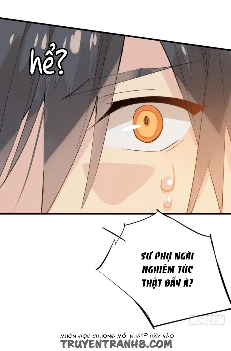 Sư Phụ Lại Trêu Chọc Ta Chapter 15 - 14