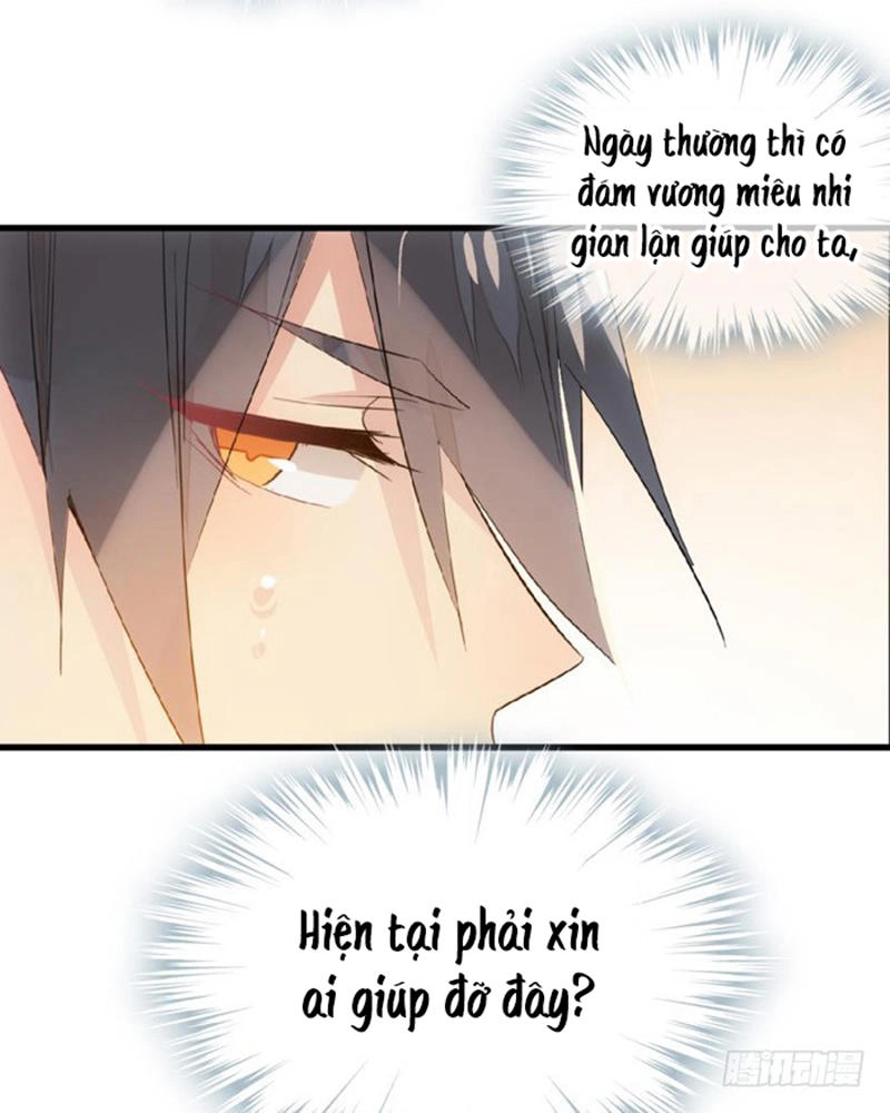 Sư Phụ Lại Trêu Chọc Ta Chapter 29 - 6