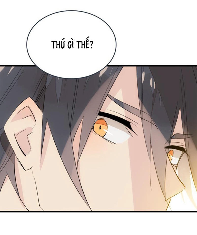 Sư Phụ Lại Trêu Chọc Ta Chapter 31 - 34