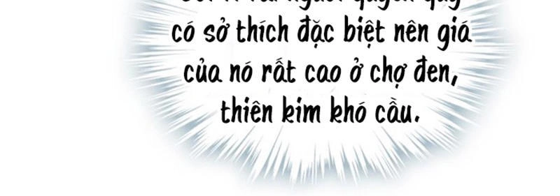 Sư Phụ Lại Trêu Chọc Ta Chapter 31 - 40