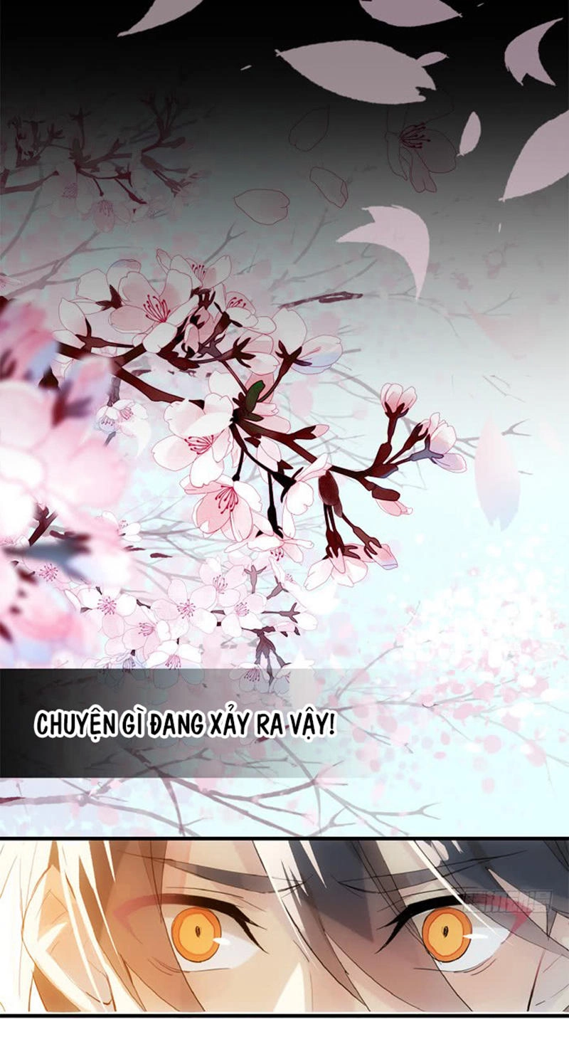 Sư Phụ Lại Trêu Chọc Ta Chapter 33 - 22