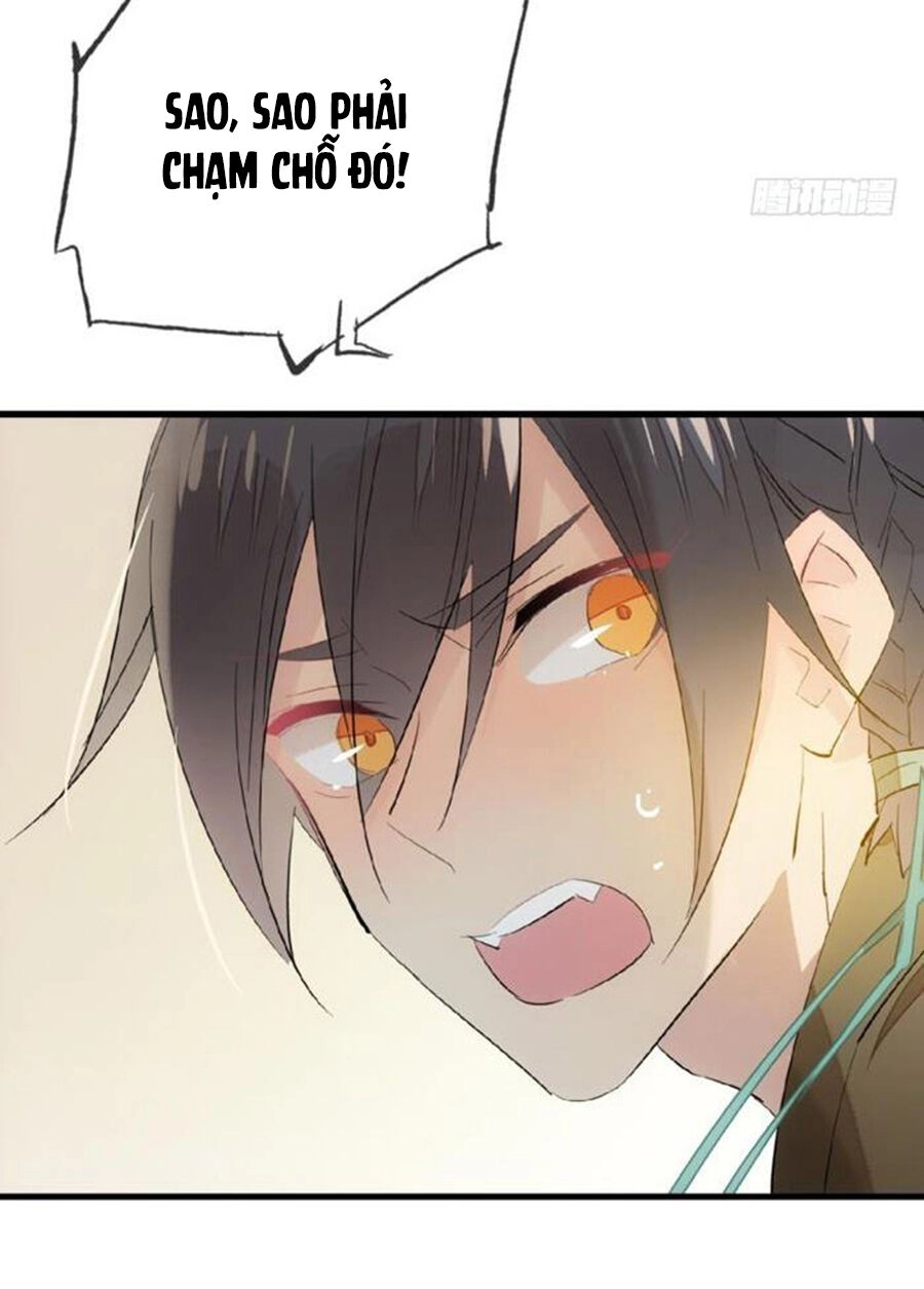 Sư Phụ Lại Trêu Chọc Ta Chapter 68 - 14