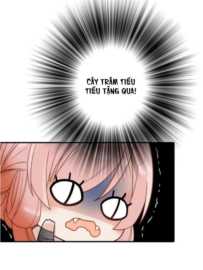 Cướp Chàng Vợ Về Đón Năm Mới Chapter 25 - 33